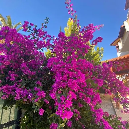Villa Antalya Privet Pool Triplex *